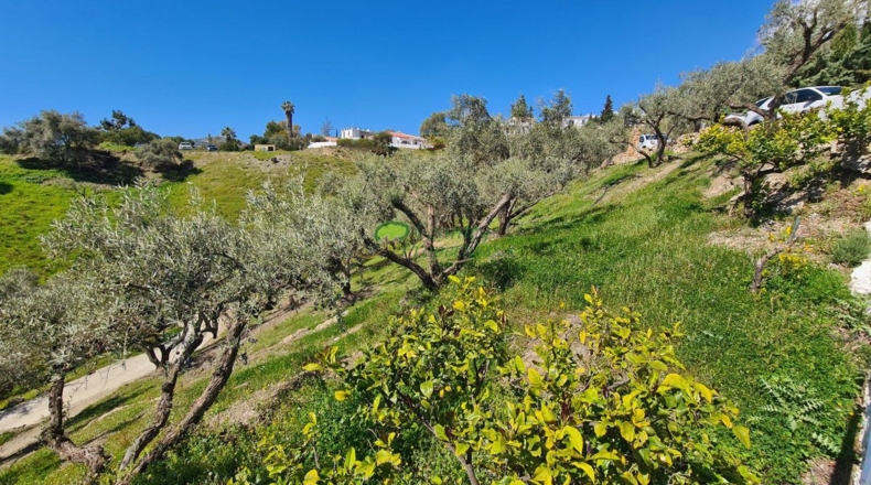 Málaga - Cómpeta - 3013m2