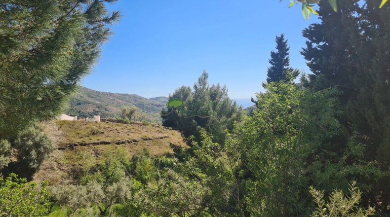 Malaga - Cómpeta - 1950m2