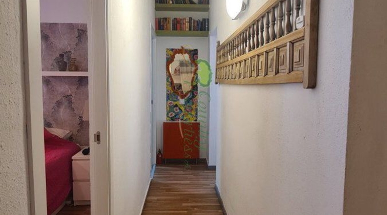 Malaga - Cómpeta - 1950m2