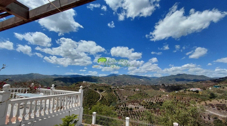 Malaga - Triana - 2655m2