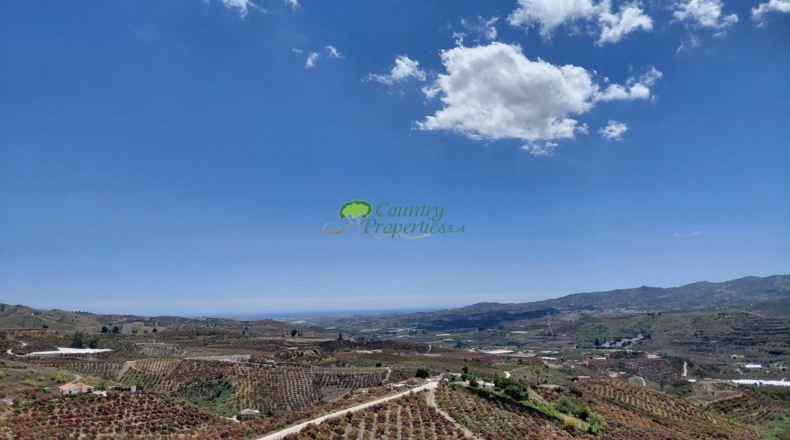 Malaga - Triana - 2655m2