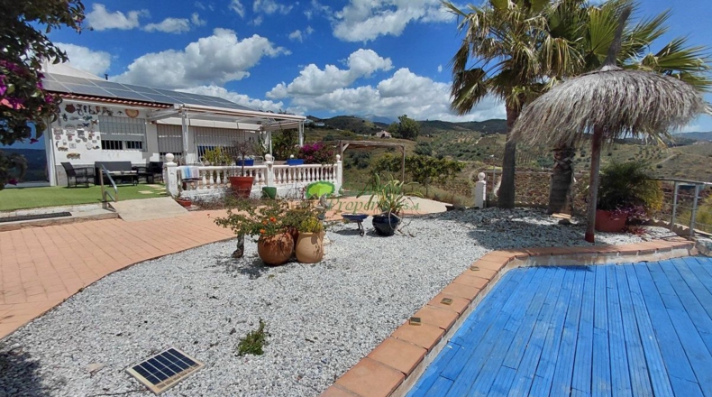 Malaga - Triana - 2655m2