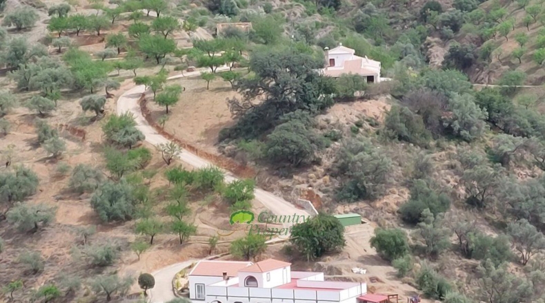 Malaga - Sedella - 15600m2