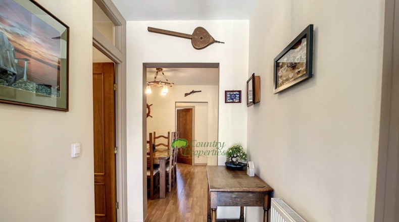 Malaga - Sedella - 15600m2