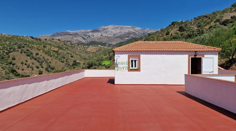 Malaga - Sedella - 15600m2