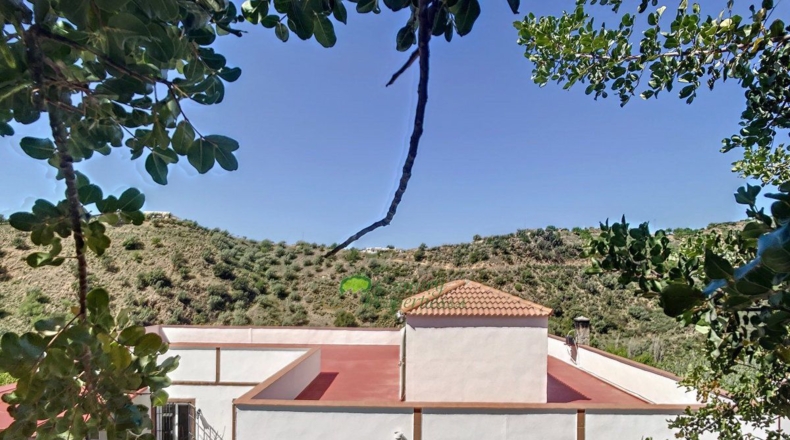 Malaga - Sedella - 15600m2