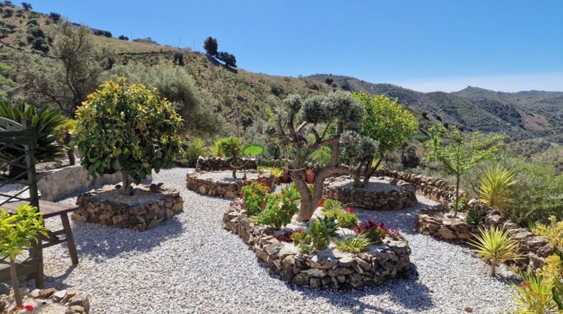 Malaga - Sedella - 15600m2