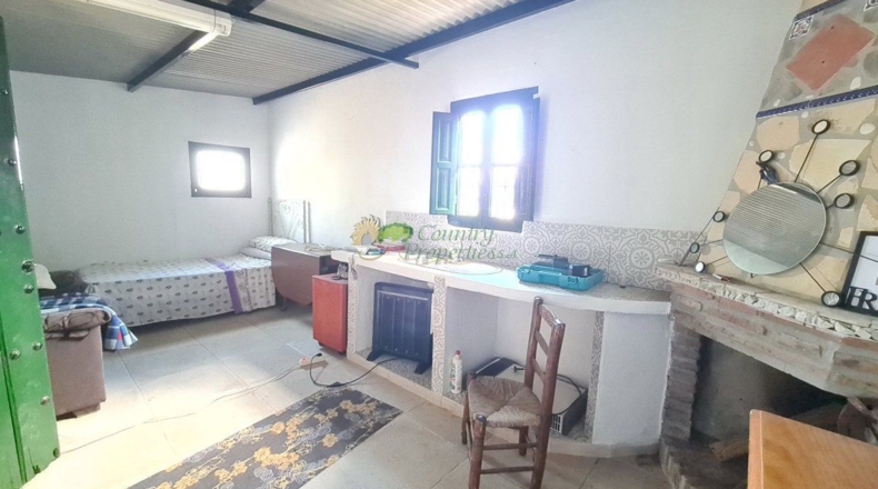 Malaga - Cómpeta - 348m2