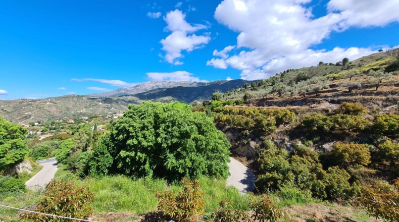 Malaga - Cómpeta - 348m2