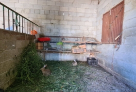 Foto 15