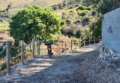 Casa de camp amb terreny en venda a Cómpeta ref.: TR410691 foto