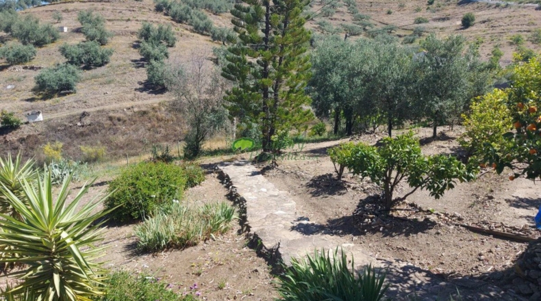 Málaga - Canillas de Aceituno - 1596m2