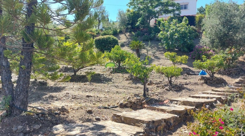 Málaga - Canillas de Aceituno - 1596m2