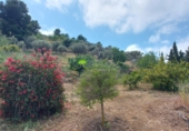 Casa de camp amb terreny en venda a Torrox ref.: TR410695 foto