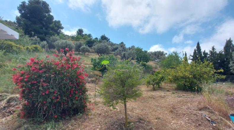 Malaga - Torrox - 5000m2