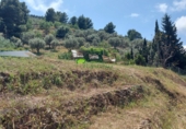 Casa de camp amb terreny en venda a Torrox ref.: TR410695 foto