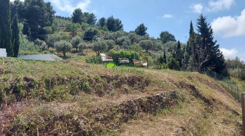 Malaga - Torrox - 5000m2