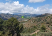 Casa de camp amb terreny en venda a Torrox ref.: TR410695 foto