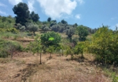 Casa de camp amb terreny en venda a Torrox ref.: TR410695 foto