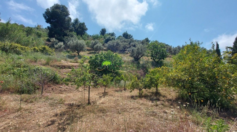 Malaga - Torrox - 5000m2