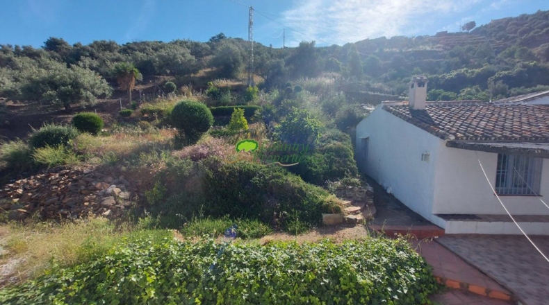 Malaga - Torrox Park - 2413m2