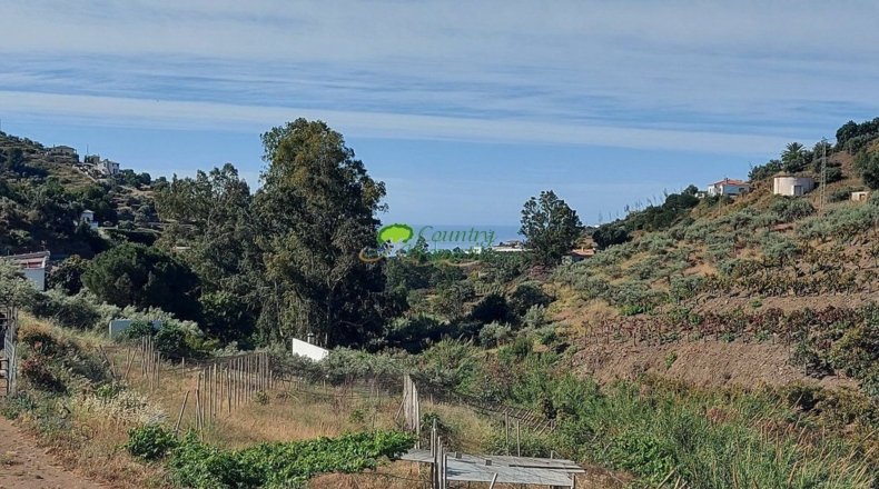 Malaga - Torrox Park - 2413m2