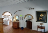 Casa de campo con terreno en venta en Cómpeta ref: TR410698 foto