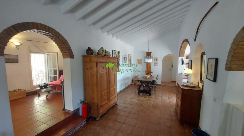 Malaga - Cómpeta - 3500m2