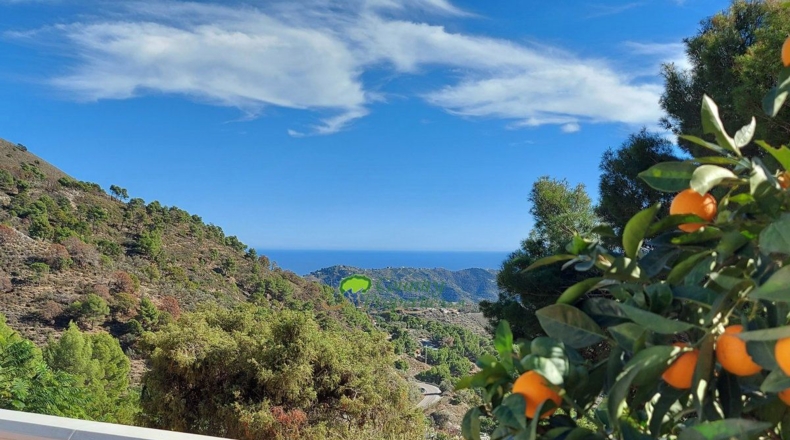 Malaga - Cómpeta - 3500m2