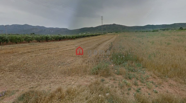Tarragona - Ulldecona - 23501m2