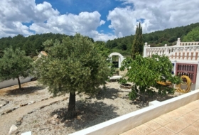 Foto 6