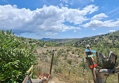 Masia amb terreny en venda a Vélez-Rubio ref.: TR410705 foto