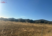 Rural estate for sale in Porzuna ref: TR209771 photo