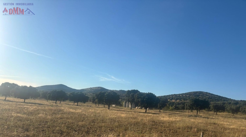 Ciudad Real - Las Betetas - 1000000m2