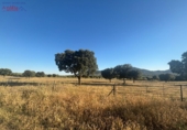 Rural estate for sale in Porzuna ref: TR209771 photo