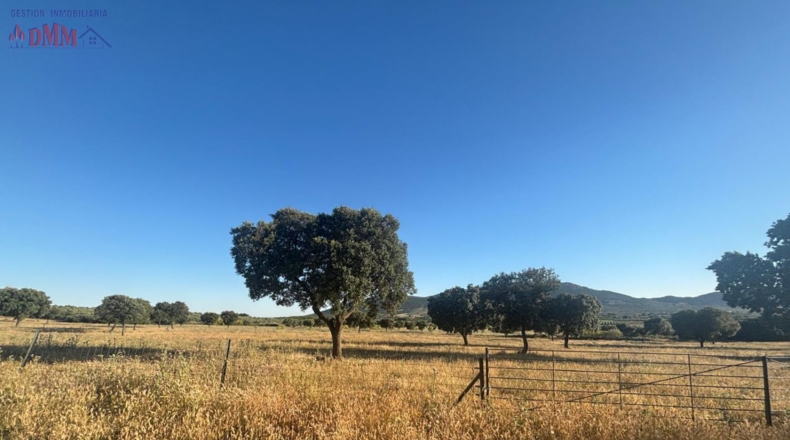 Ciudad Real - Las Betetas - 1000000m2