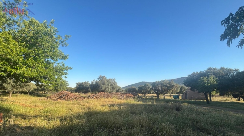 Ciudad Real - Las Betetas - 1000000m2