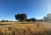 Rural estate for sale in Porzuna ref: TR209771 photo