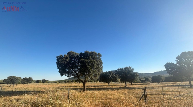 Ciudad Real - Las Betetas - 1000000m2
