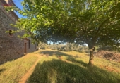 Rural estate for sale in Porzuna ref: TR209771 photo