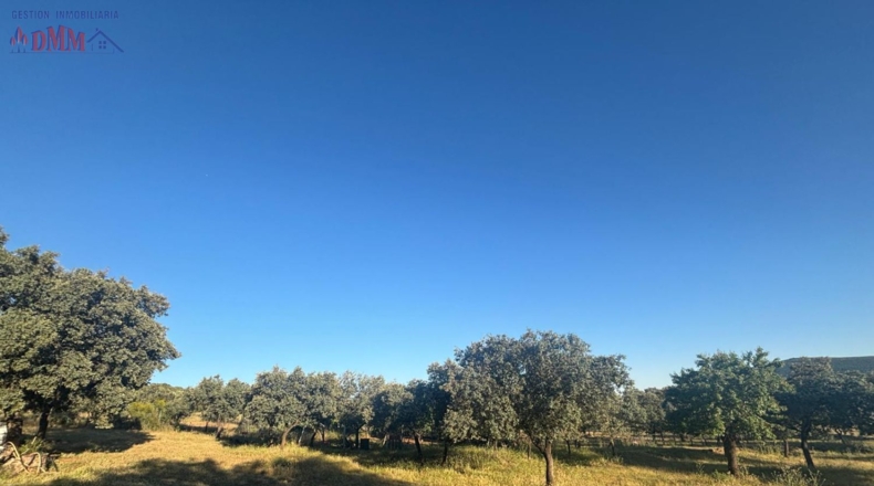 Ciudad Real - Las Betetas - 1000000m2