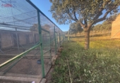 Rural estate for sale in Porzuna ref: TR209771 photo