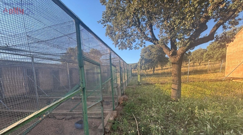 Ciudad Real - Las Betetas - 1000000m2