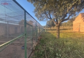 Rural estate for sale in Porzuna ref: TR209771 photo