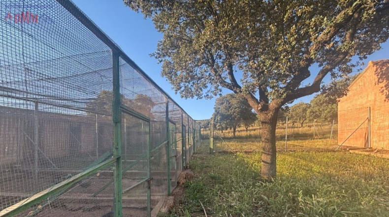 Ciudad Real - Las Betetas - 1000000m2