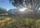 Rural estate for sale in Porzuna ref: TR209771 photo