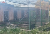 Rural estate for sale in Porzuna ref: TR209771 photo