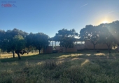 Rural estate for sale in Porzuna ref: TR209771 photo
