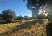 Rural estate for sale in Porzuna ref: TR209771 photo