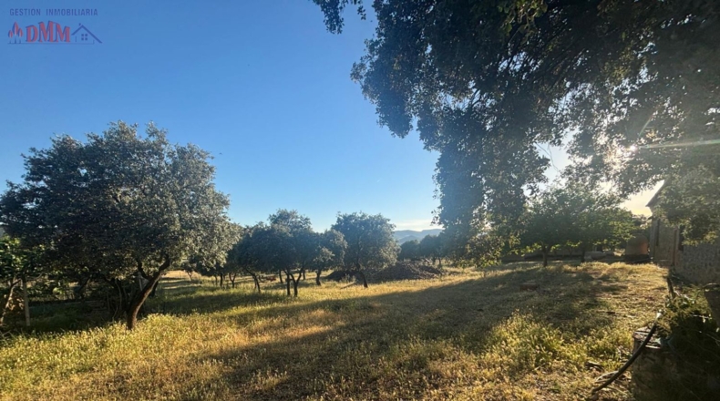 Ciudad Real - Las Betetas - 1000000m2
